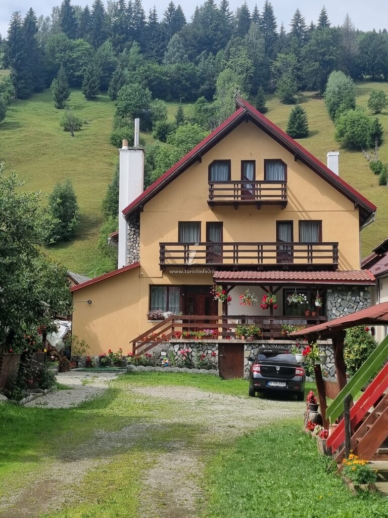 Casa Cosmin