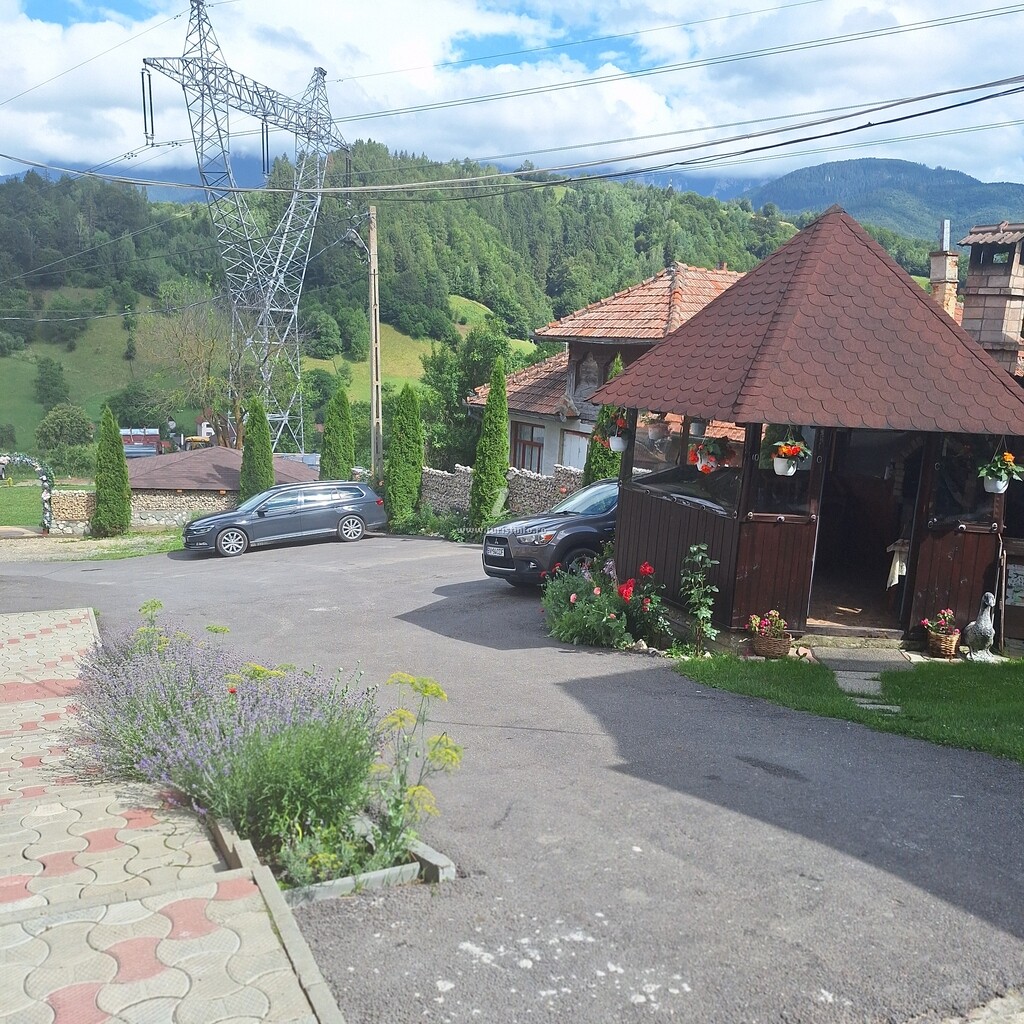 Casa Petruța