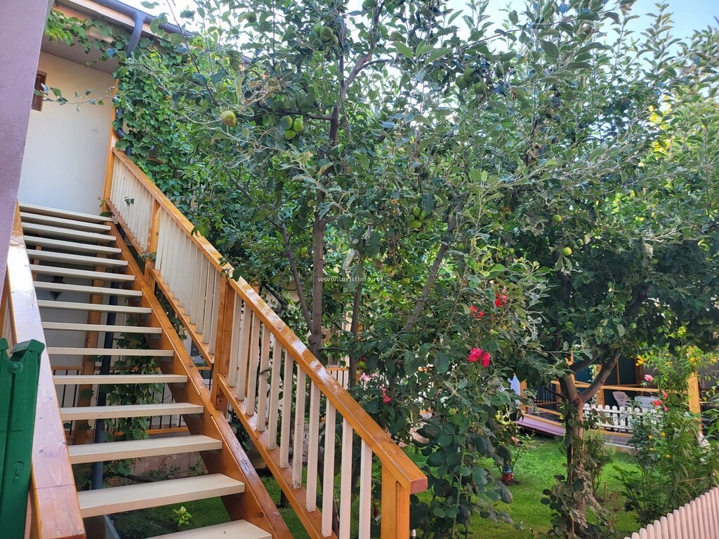 Casa Ștefănescu