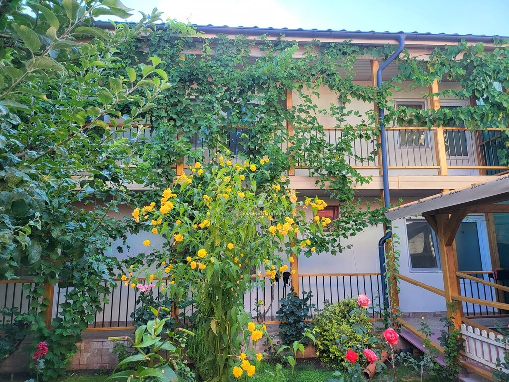Casa Ștefănescu