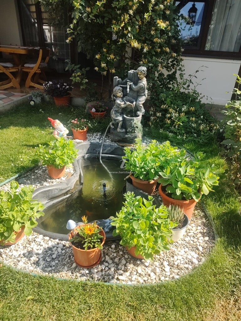 Casa Narciselor