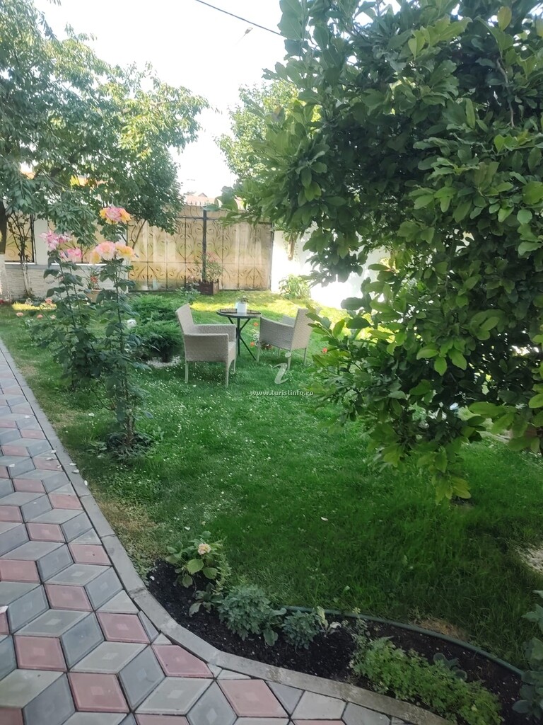 Casa Narciselor