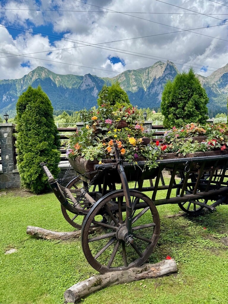 Pensiunea Doi Ponei