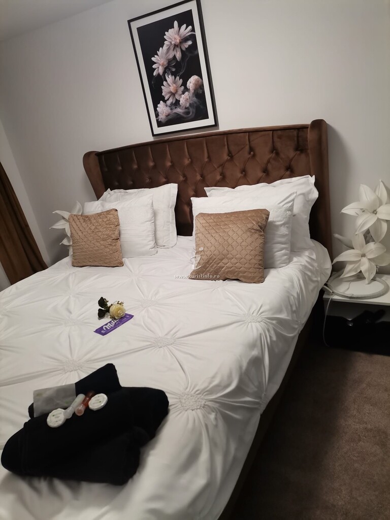 Cabana Lu Vasile