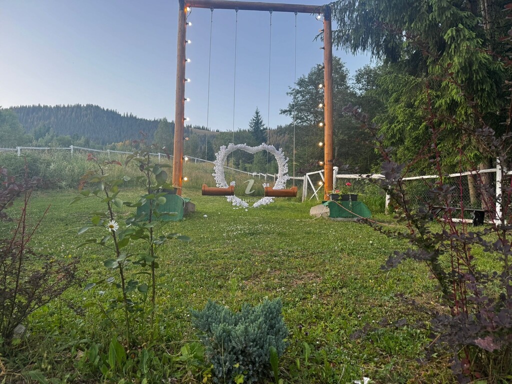 Cabana Lu Vasile