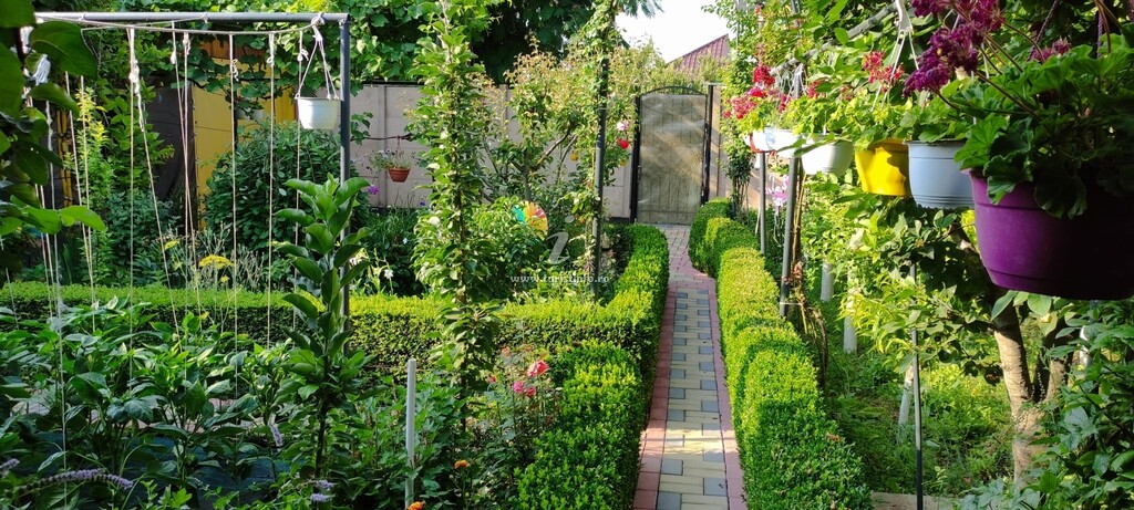 Casa Orange House