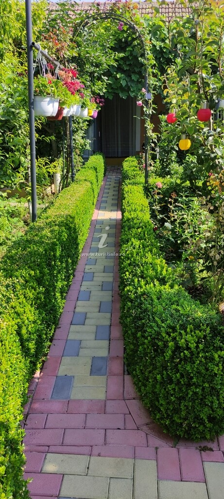 Casa Orange House