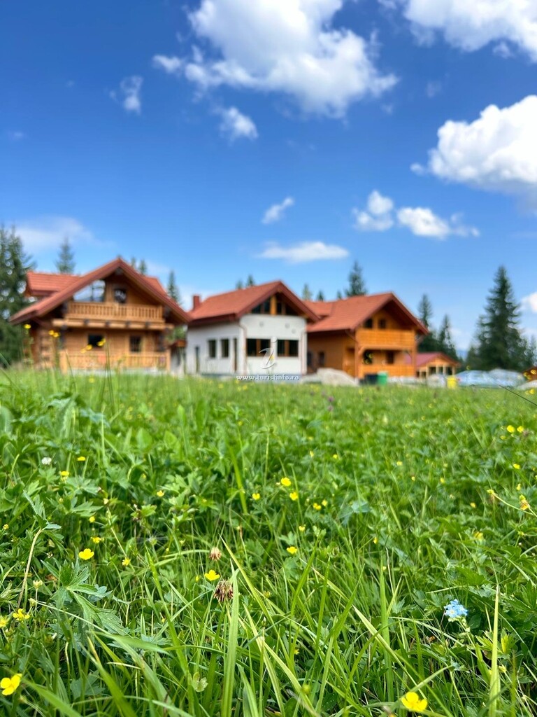 Cãsuţele dintre Brazi