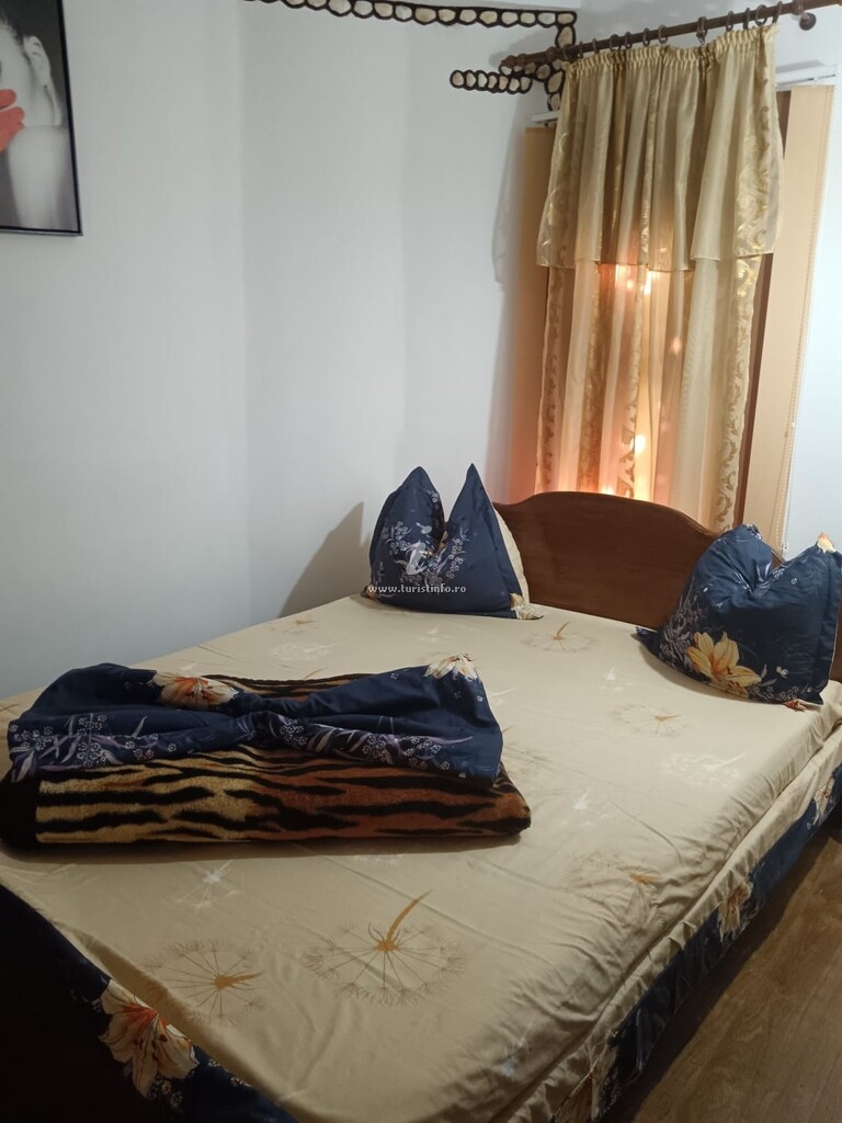 Camere de închiriat Casa Andra