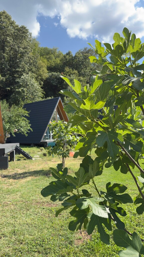 Cabana A-frame