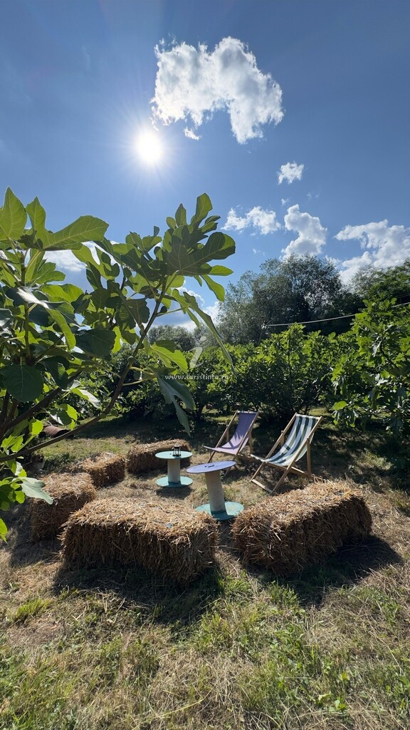 Cabana A-frame