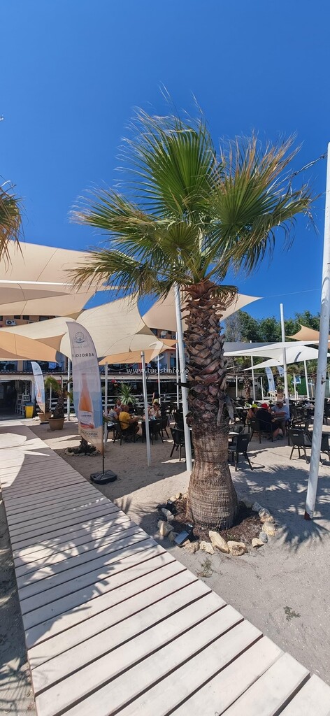 Hotel Perla Venusului