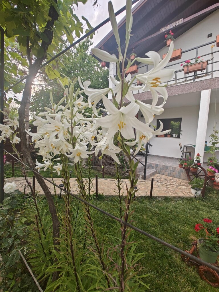 Casa Seby