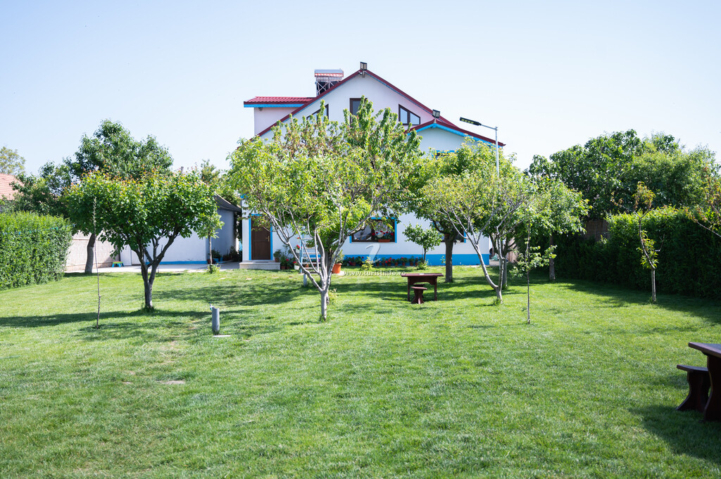 Casa Lebăda