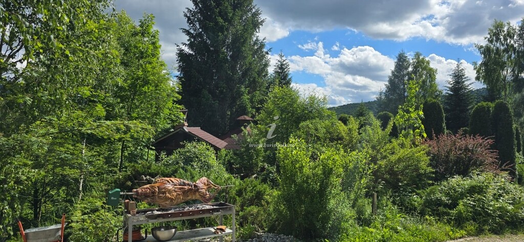 Cabana Perla Munților