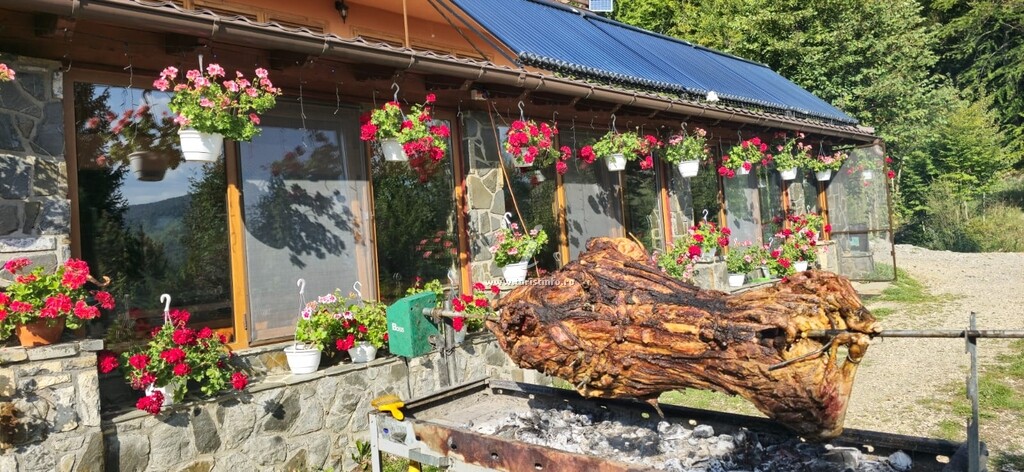 Cabana Perla Munților