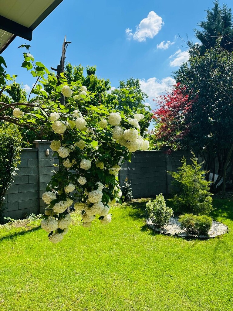 Pensiunea May Residence