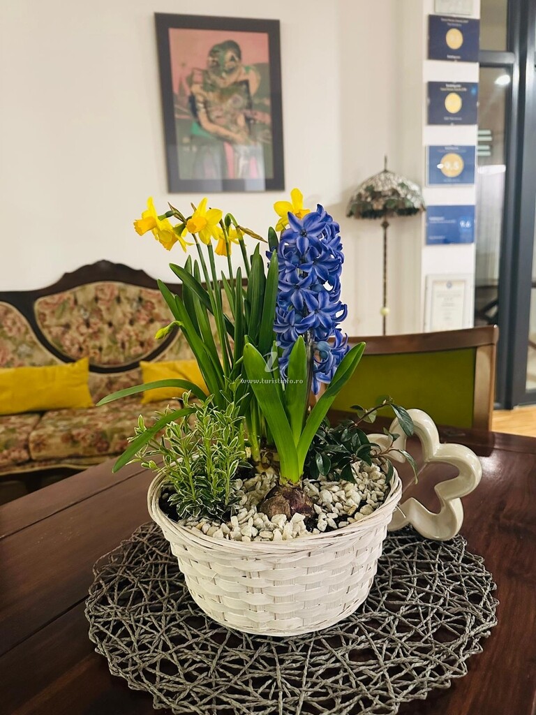 Pensiunea May Residence