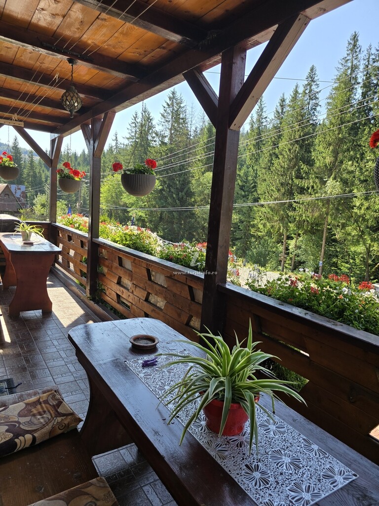 Pensiunea Valea Brazilor