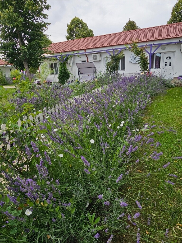 Casa La Fluturi
