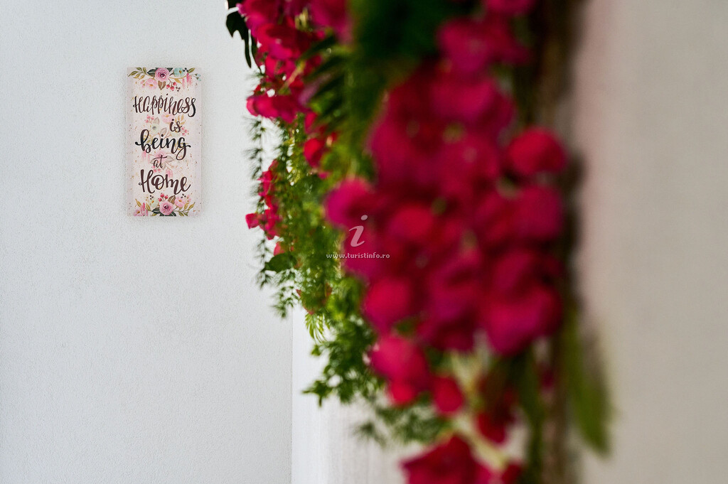 Camere de închiriat Marina Boutique