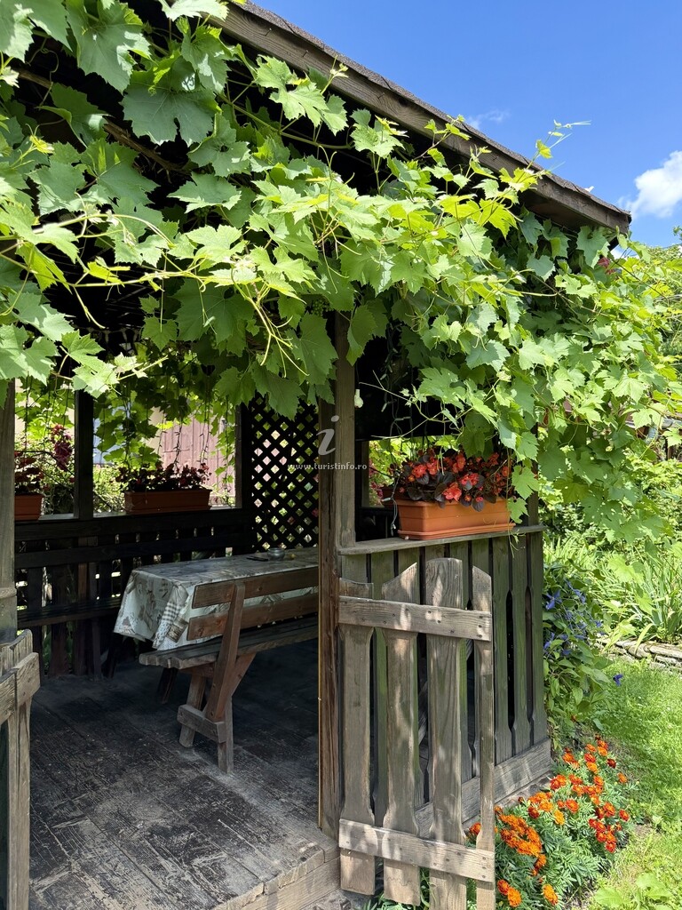 Vila Dor de Munte