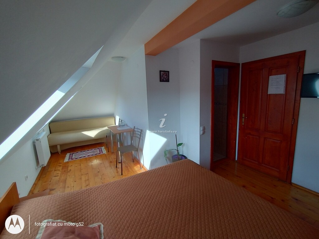 Casa Pleșca