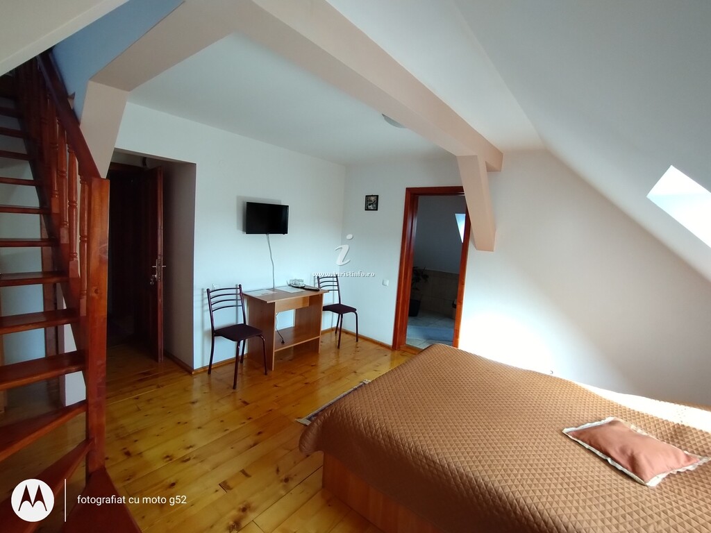 Casa Pleșca