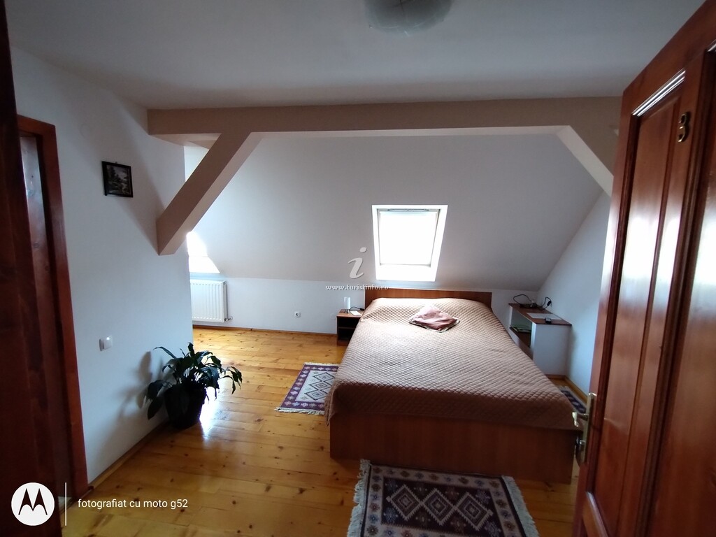 Casa Pleșca