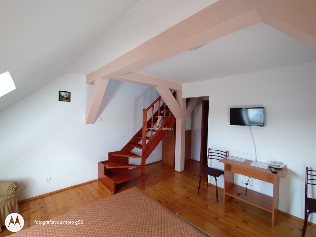 Casa Pleșca