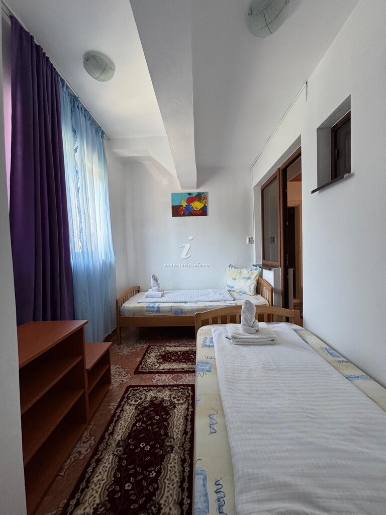 Casa Badea Tinică
