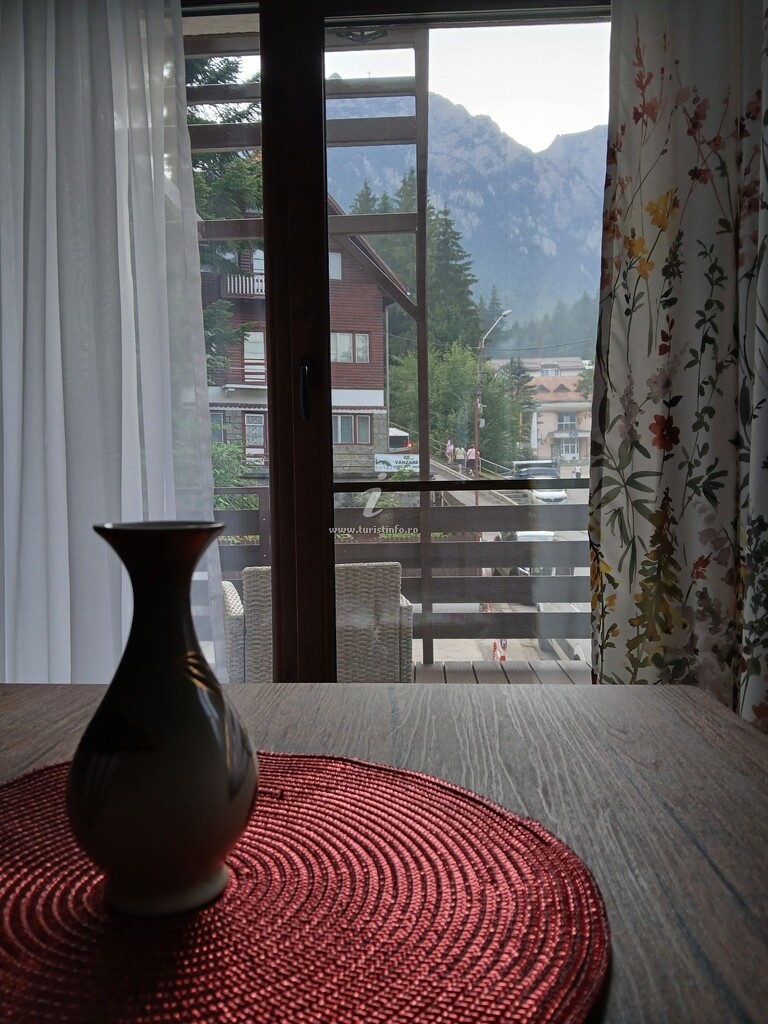 Mini Apartament
