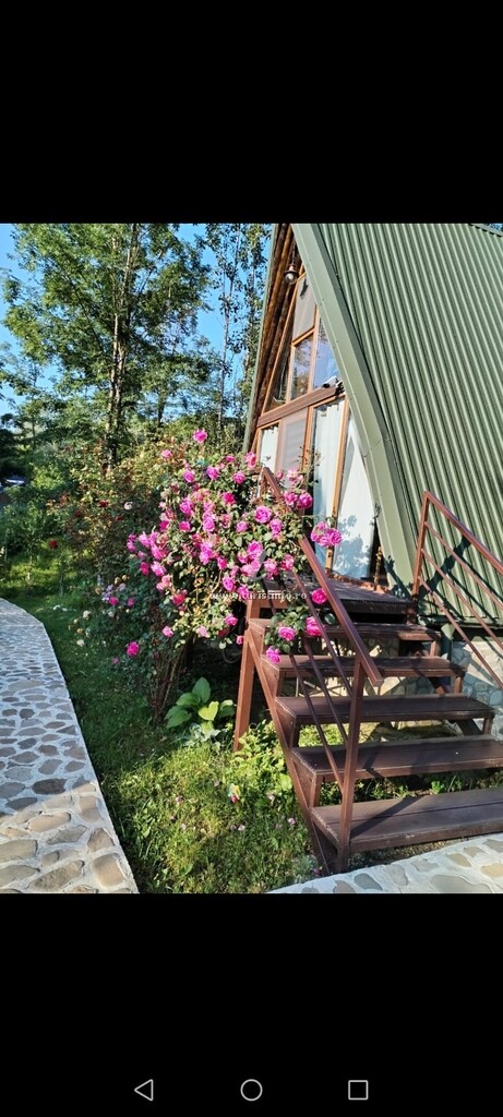 A-frame Poienița Lupului