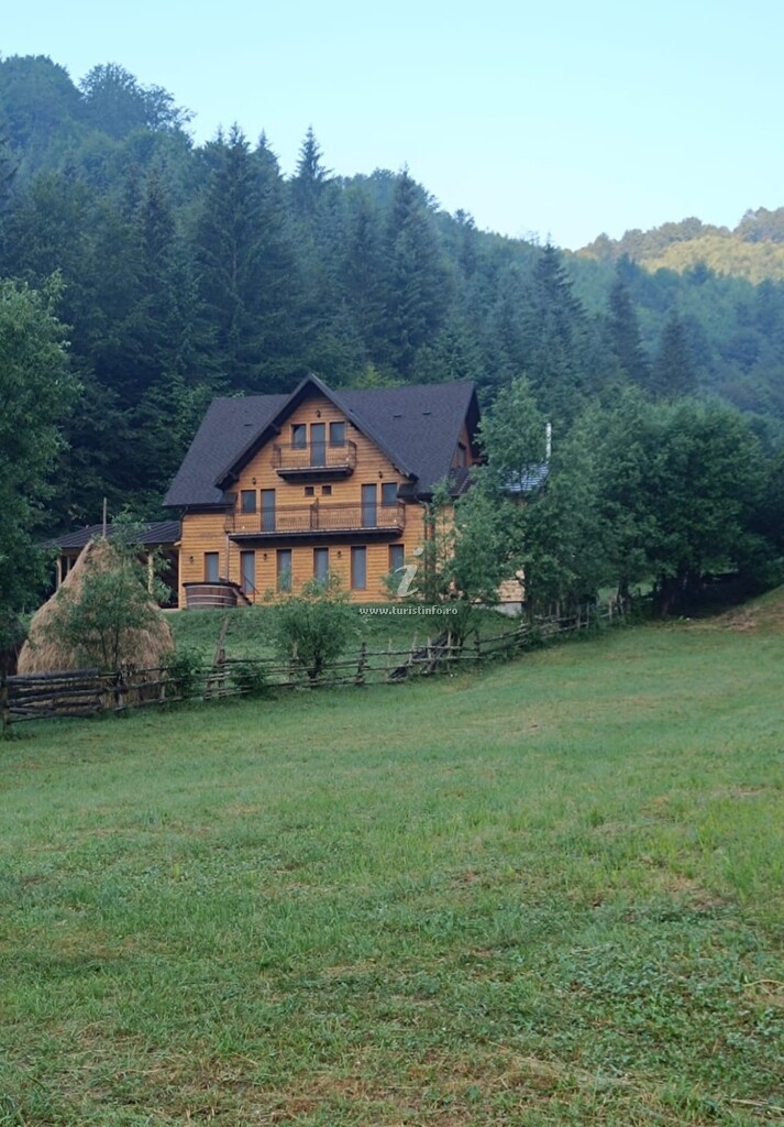 Casa Nicolescu