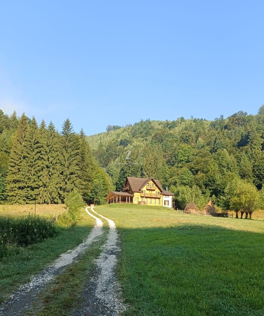 Casa Nicolescu