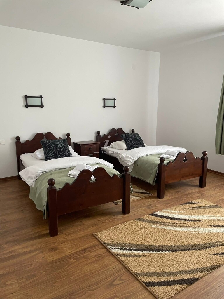 Vila Valea Sălbatică