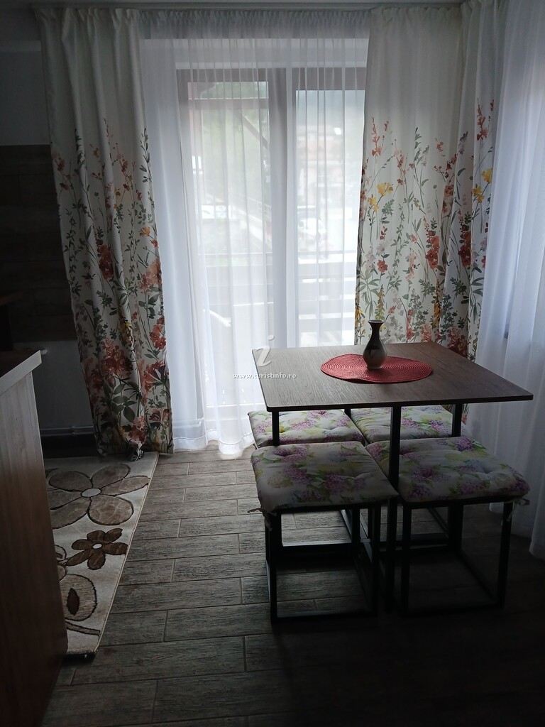 Mini Apartament