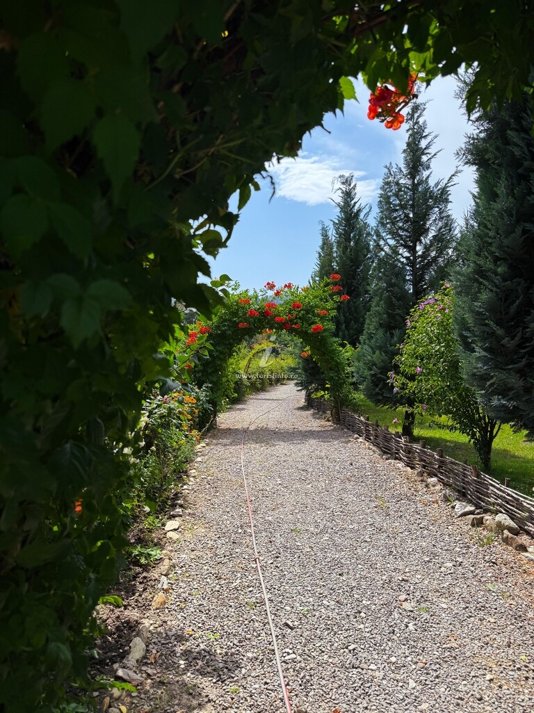 Casa Sorina