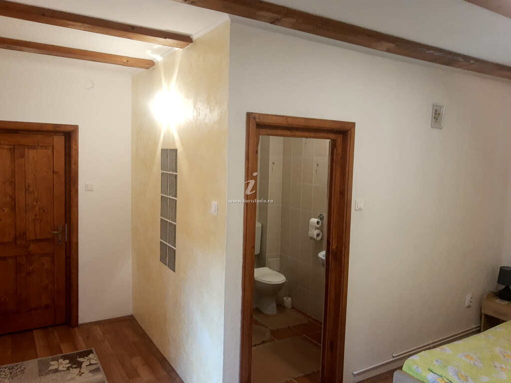 Casa de vacanță Doi Brazi