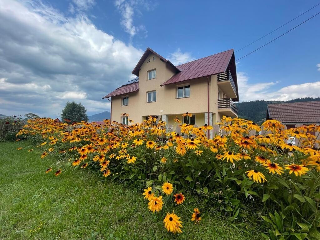 Pensiunea Gențiana