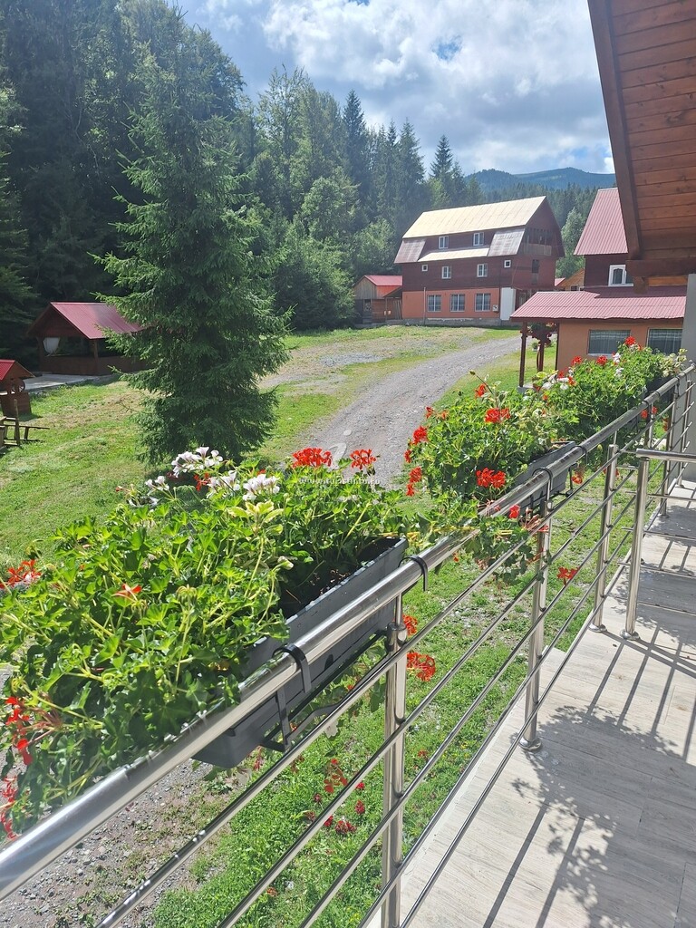 Cabana Adri și Beni