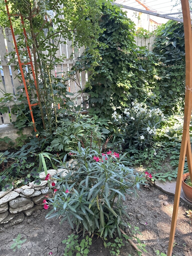 Camere de închiriat Cristal Vox