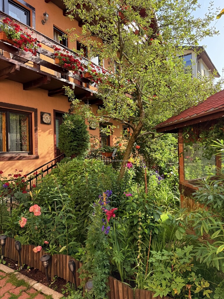 Camere de închiriat Casa Topliceanu