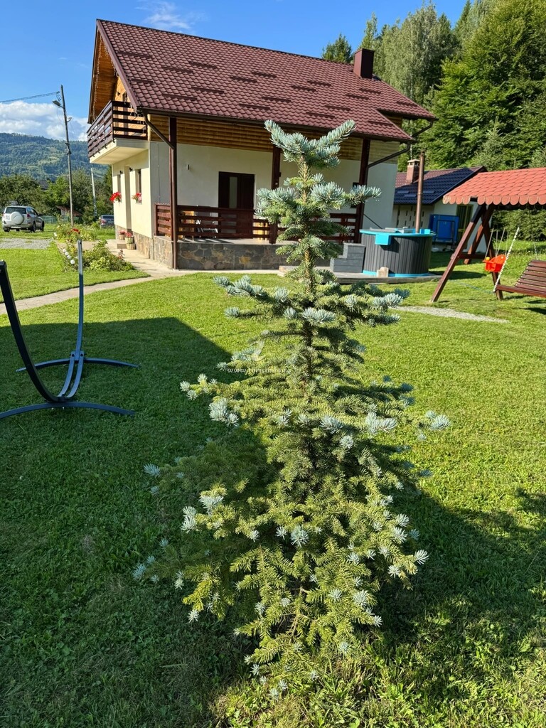 Pensiunea Floare de Colț