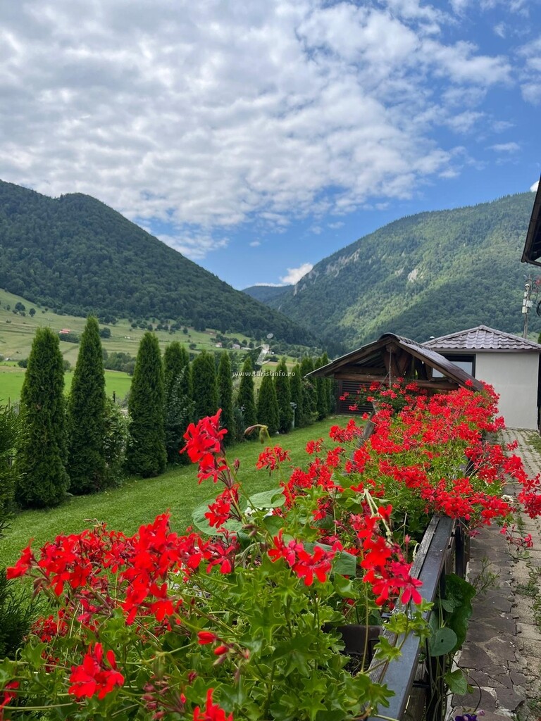 Casa Mereșanu