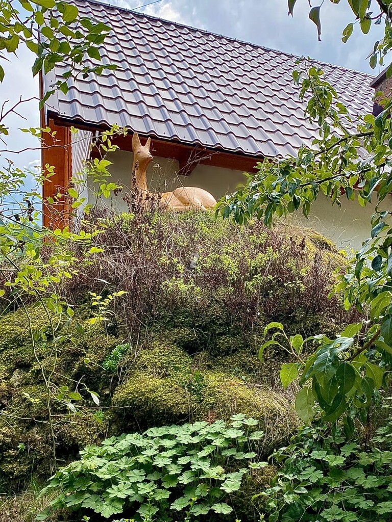 Cabana Stânca Căprioarei