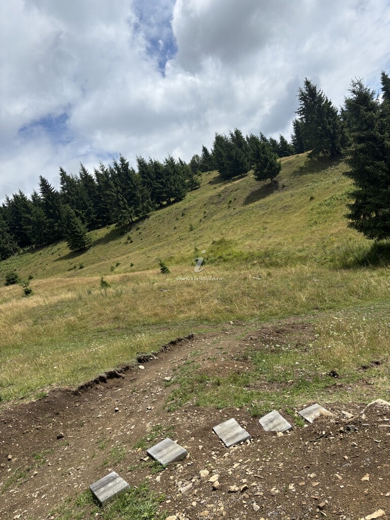 Cabana Cuibul lui Răzvan
