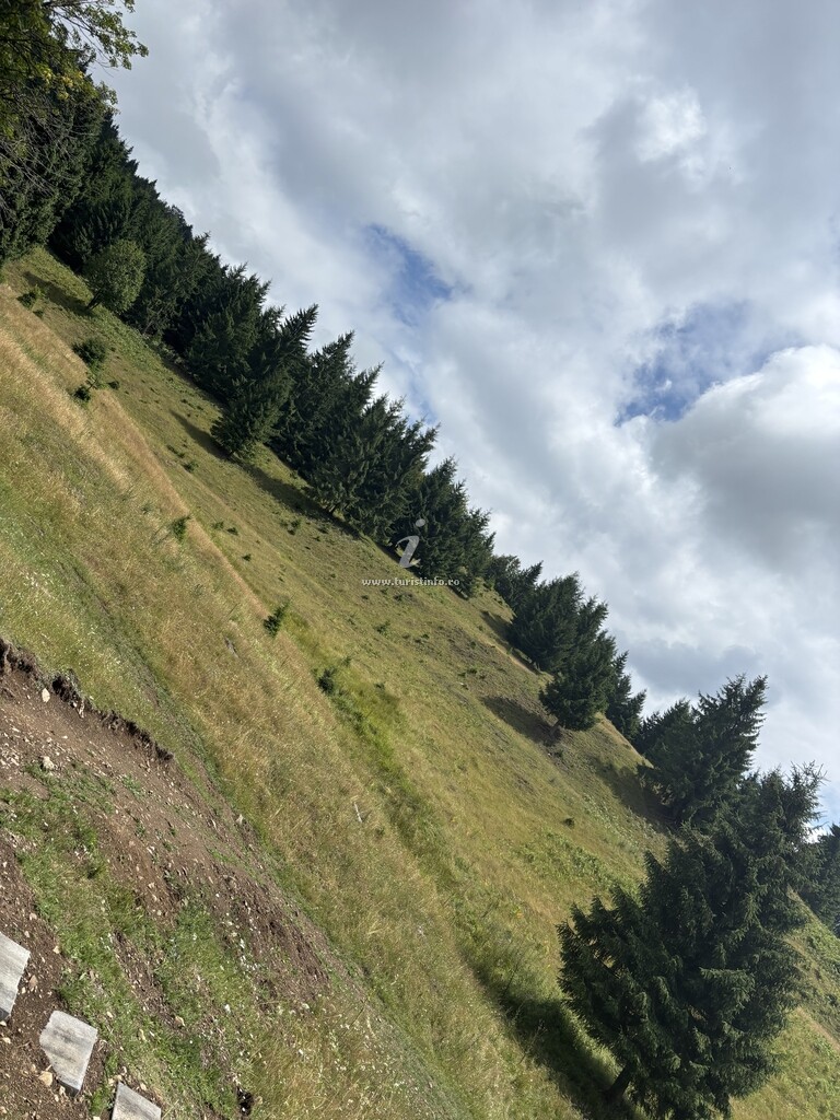 Cabana Cuibul lui Răzvan