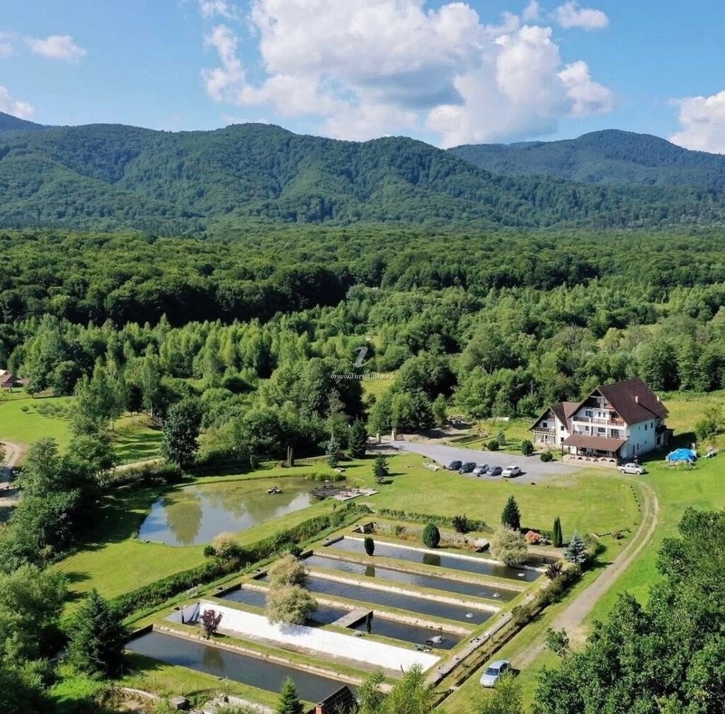 Vila Valea Sălbatică