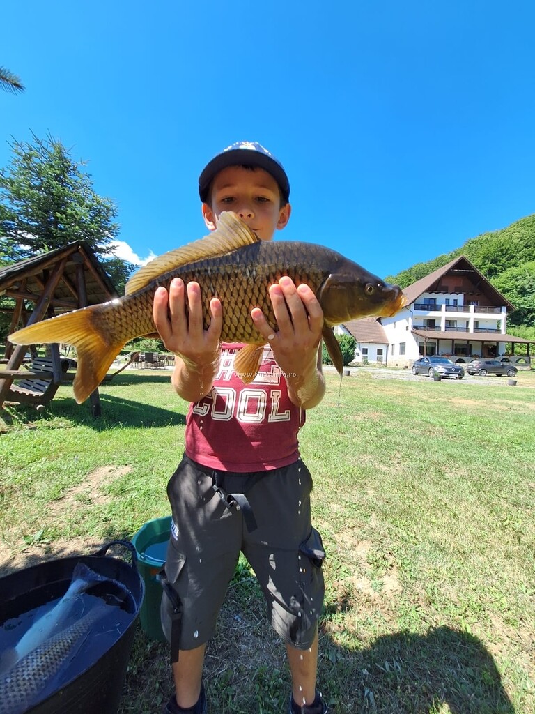 Vila Valea Sălbatică